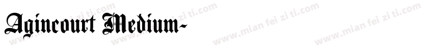 Agincourt Medium字体转换